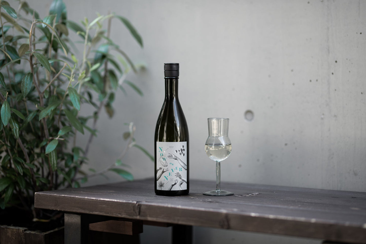 Now or Never | シティースタイル日本酒